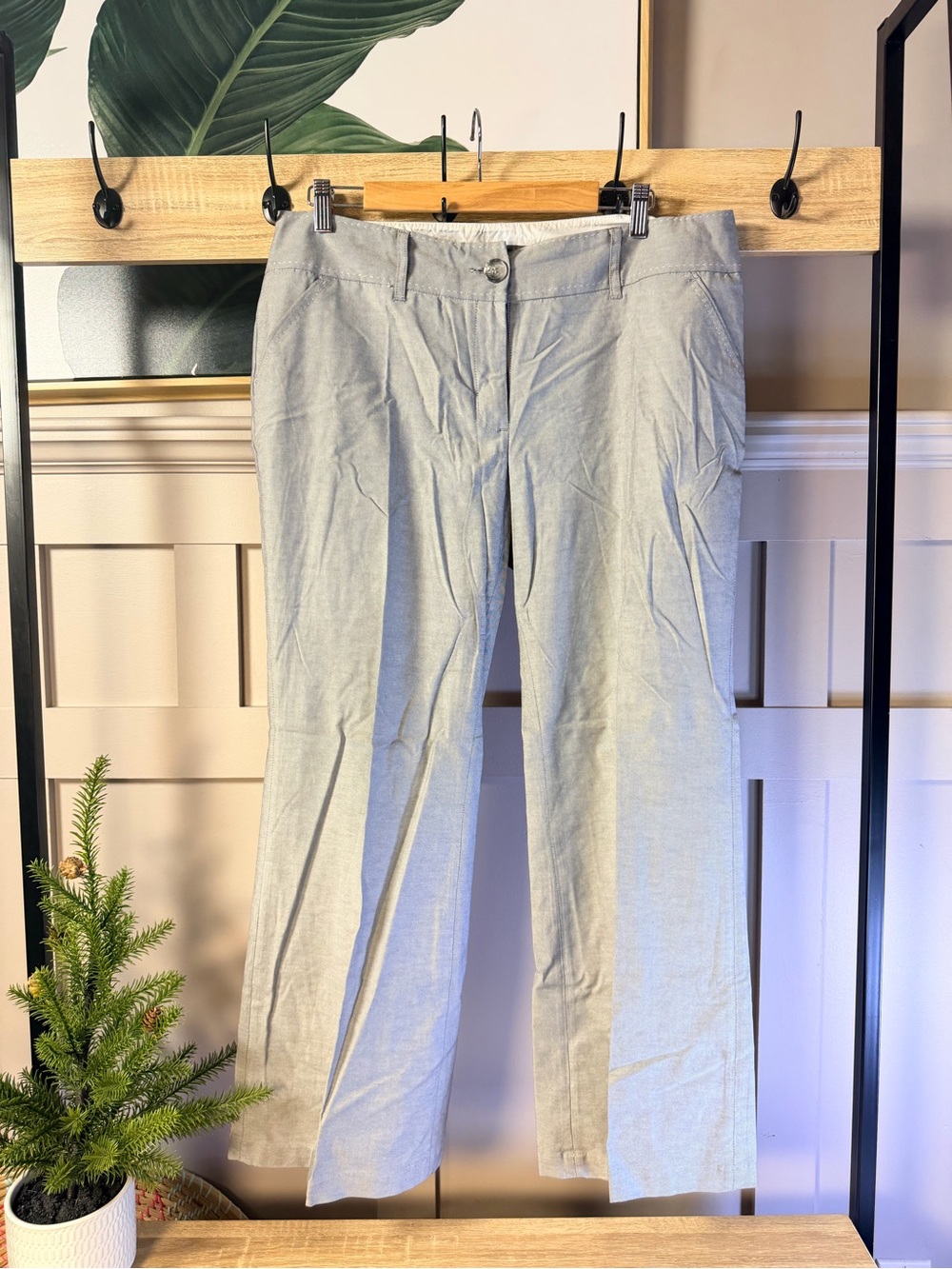 Woman Light Gray Dress Pants — Classic Straight Fit 14 S